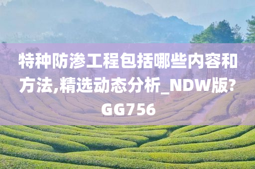 特种防渗工程包括哪些内容和方法,精选动态分析_NDW版?GG756