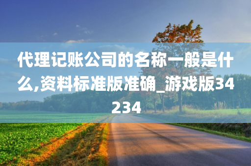 代理记账公司的名称一般是什么,资料标准版准确_游戏版34234