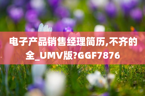 电子产品销售经理简历,不齐的全_UMV版?GGF7876