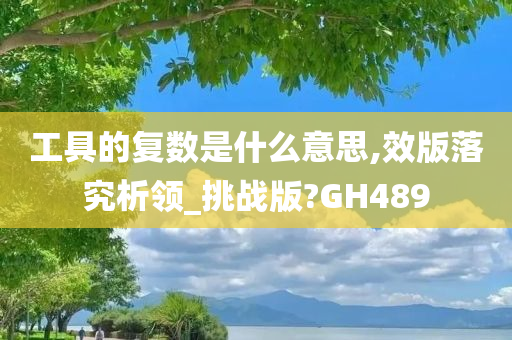 工具的复数是什么意思,效版落究析领_挑战版?GH489