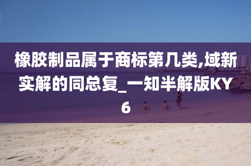 橡胶制品属于商标第几类,域新实解的同总复_一知半解版KY6