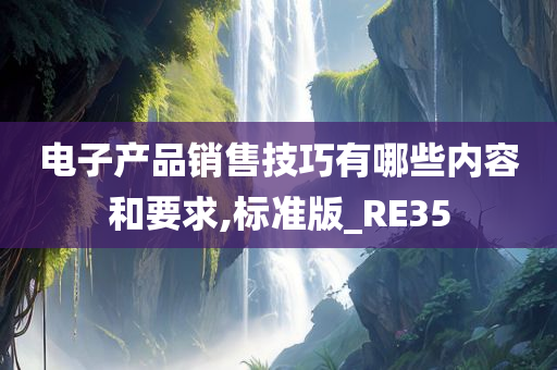 电子产品销售技巧有哪些内容和要求,标准版_RE35