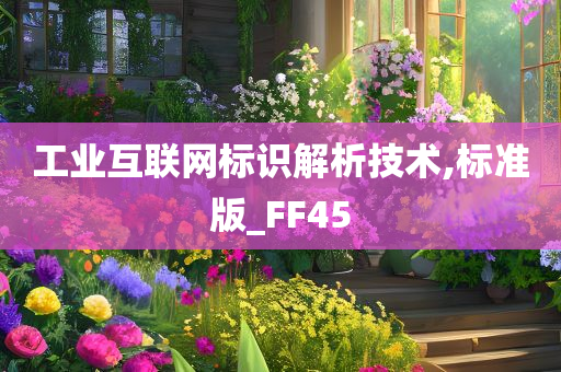 工业互联网标识解析技术,标准版_FF45