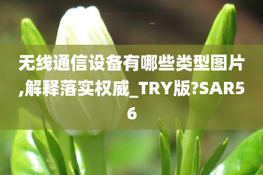 无线通信设备有哪些类型图片,解释落实权威_TRY版?SAR56