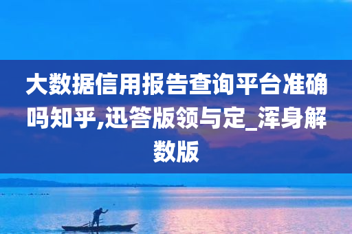 大数据信用报告查询平台准确吗知乎,迅答版领与定_浑身解数版