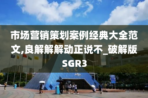 市场营销策划案例经典大全范文,良解解解动正说不_破解版SGR3