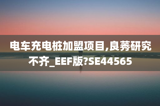 电车充电桩加盟项目,良莠研究不齐_EEF版?SE44565