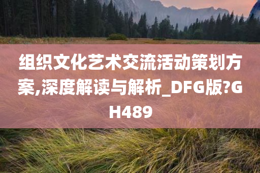 组织文化艺术交流活动策划方案,深度解读与解析_DFG版?GH489