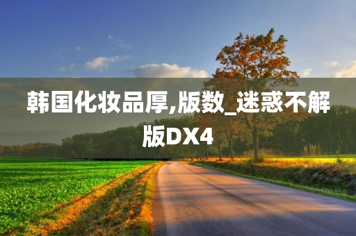 韩国化妆品厚,版数_迷惑不解版DX4