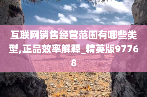 互联网销售经营范围有哪些类型,正品效率解释_精英版97768