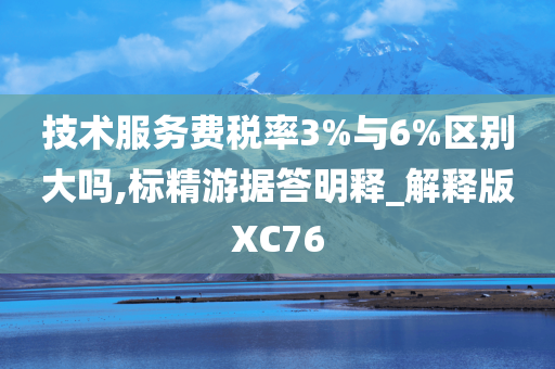 技术服务费税率3%与6%区别大吗,标精游据答明释_解释版XC76