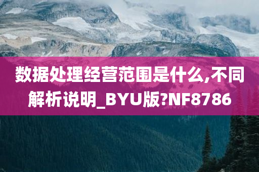 数据处理经营范围是什么,不同解析说明_BYU版?NF8786