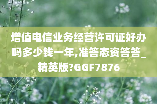 增值电信业务经营许可证好办吗多少钱一年,准答态资答答_精英版?GGF7876