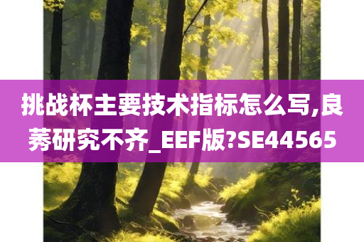 挑战杯主要技术指标怎么写,良莠研究不齐_EEF版?SE44565