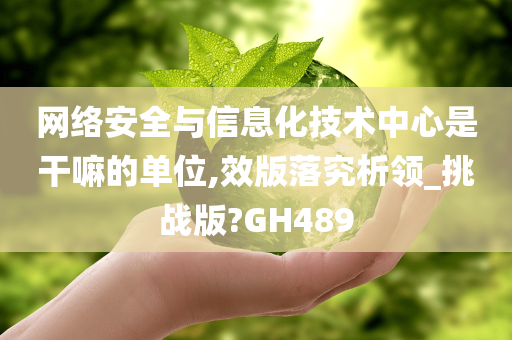 网络安全与信息化技术中心是干嘛的单位,效版落究析领_挑战版?GH489