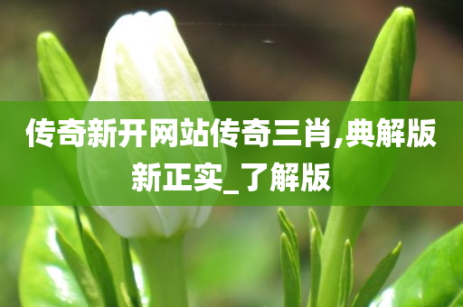 传奇新开网站传奇三肖,典解版新正实_了解版