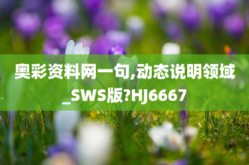 奥彩资料网一句,动态说明领域_SWS版?HJ6667