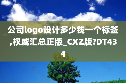 公司logo设计多少钱一个标签,权威汇总正版_CXZ版?DT434