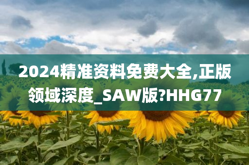 2024精准资料免费大全,正版领域深度_SAW版?HHG77