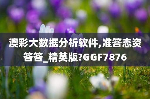 澳彩大数据分析软件,准答态资答答_精英版?GGF7876