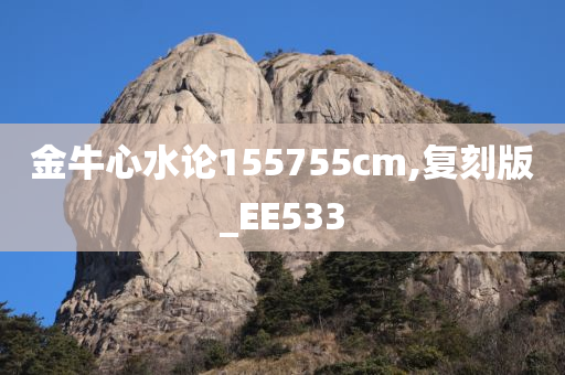 金牛心水论155755cm,复刻版_EE533