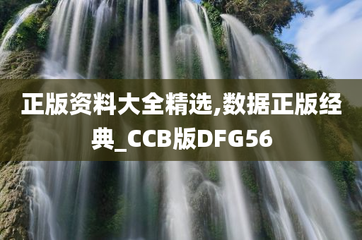 正版资料大全精选,数据正版经典_CCB版DFG56