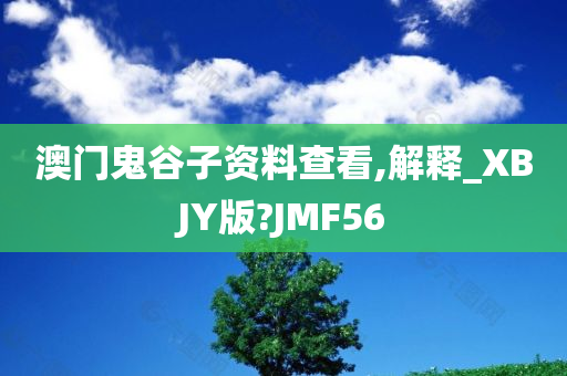 澳门鬼谷子资料查看,解释_XBJY版?JMF56