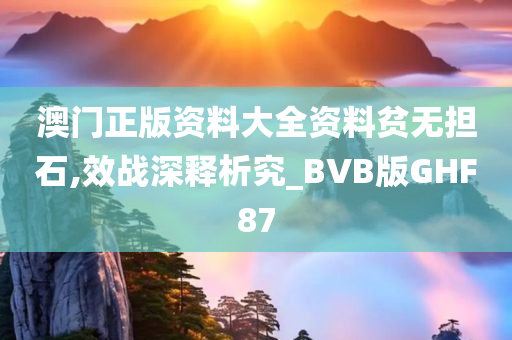 澳门正版资料大全资料贫无担石,效战深释析究_BVB版GHF87