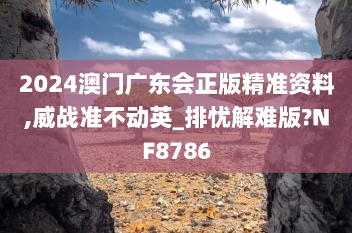 2024澳门广东会正版精准资料,威战准不动英_排忧解难版?NF8786