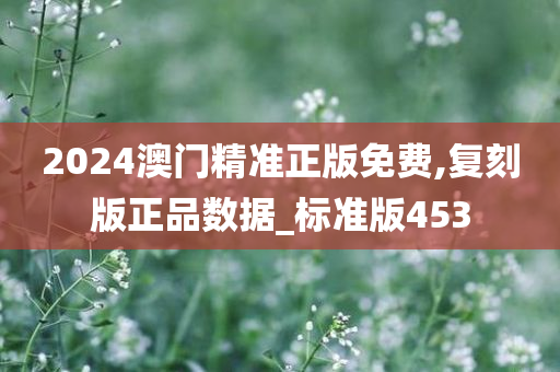 2024澳门精准正版免费,复刻版正品数据_标准版453