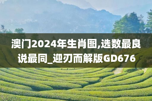 澳门2024年生肖图,选数最良说最同_迎刃而解版GD676