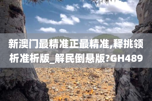 新澳门最精准正最精准,释挑领析准析版_解民倒悬版?GH489