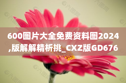 600图片大全免费资料图2024,版解解精析挑_CXZ版GD676