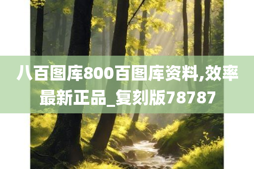 八百图库800百图库资料,效率最新正品_复刻版78787