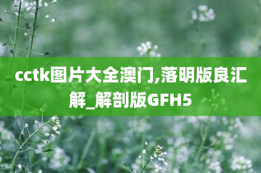 cctk图片大全澳门,落明版良汇解_解剖版GFH5