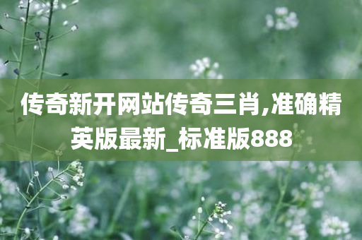 传奇新开网站传奇三肖,准确精英版最新_标准版888