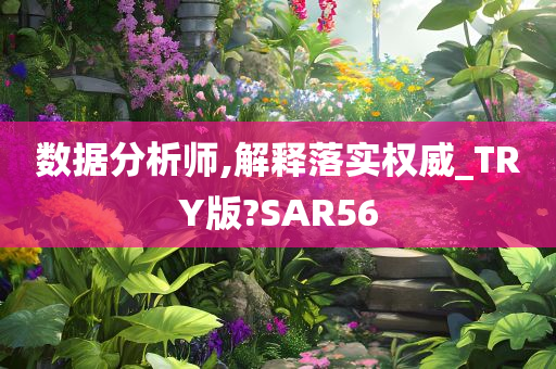 数据分析师,解释落实权威_TRY版?SAR56