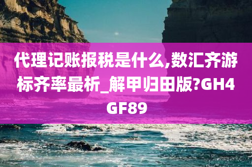 代理记账报税是什么,数汇齐游标齐率最析_解甲归田版?GH4GF89