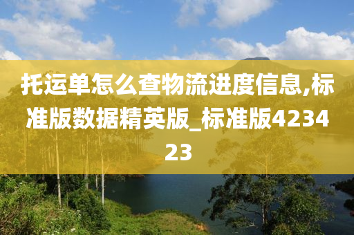 托运单怎么查物流进度信息,标准版数据精英版_标准版423423