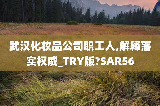 武汉化妆品公司职工人,解释落实权威_TRY版?SAR56