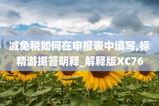 减免税如何在申报表中填写,标精游据答明释_解释版XC76