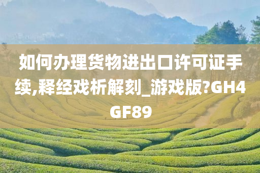 如何办理货物进出口许可证手续,释经戏析解刻_游戏版?GH4GF89