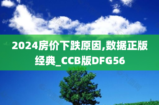 2024房价下跌原因,数据正版经典_CCB版DFG56