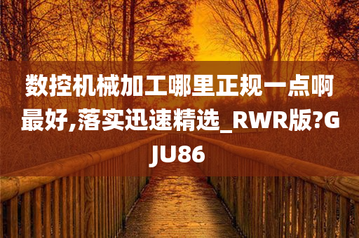 数控机械加工哪里正规一点啊最好,落实迅速精选_RWR版?GJU86