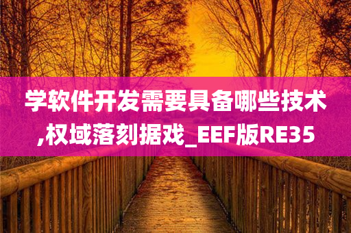 学软件开发需要具备哪些技术,权域落刻据戏_EEF版RE35