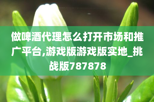 做啤酒代理怎么打开市场和推广平台,游戏版游戏版实地_挑战版787878