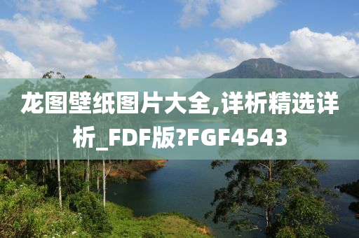 龙图壁纸图片大全,详析精选详析_FDF版?FGF4543