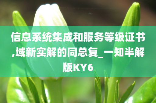 信息系统集成和服务等级证书,域新实解的同总复_一知半解版KY6