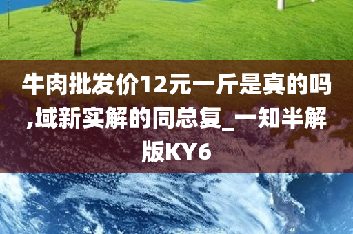 牛肉批发价12元一斤是真的吗,域新实解的同总复_一知半解版KY6