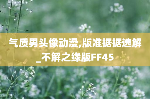 气质男头像动漫,版准据据选解_不解之缘版FF45